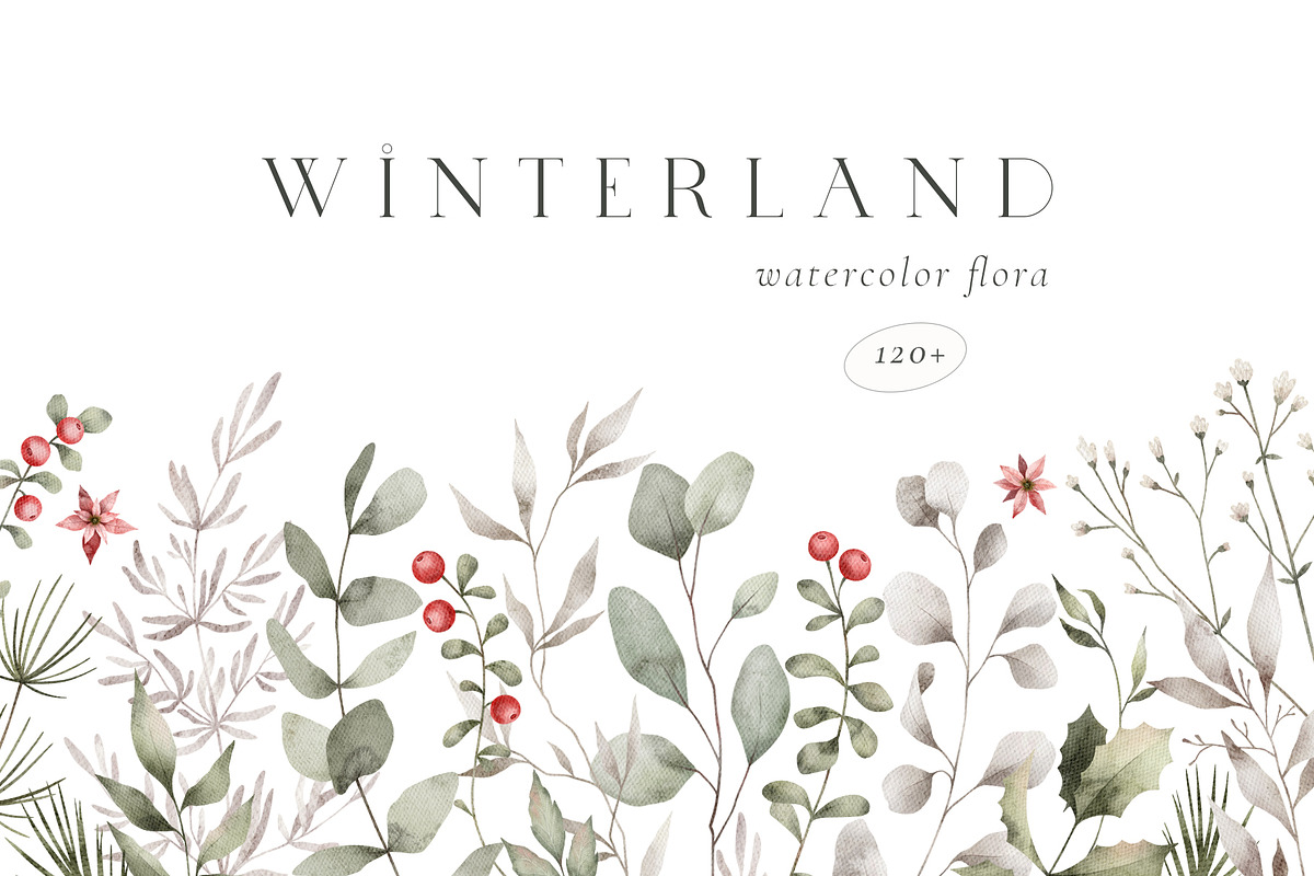 Watercolor Winter. Christmas florals, an Illustration by Kreker Kate (Photo 1 of 10)