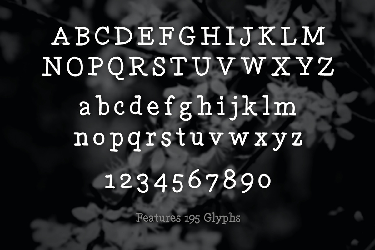 Skooled Serif - A Hand Drawn Web Fon preview 2
