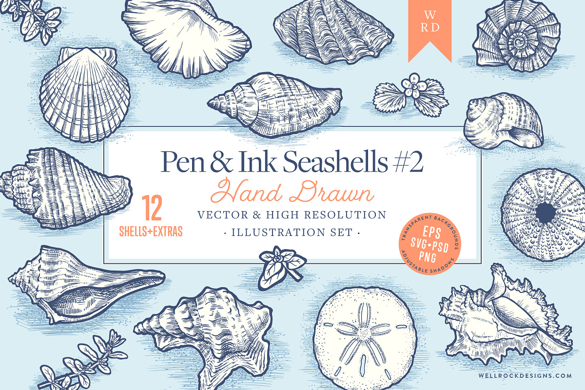 Sea Shells(Vector) + Beach Bonus, an Object Illustration by Well Rock Designs (Photo 1 of 9)