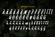 Moonway - A Hand Brush Typeface, a Script Font by SemutHitam Creative (Thumbnail 7 of 10)