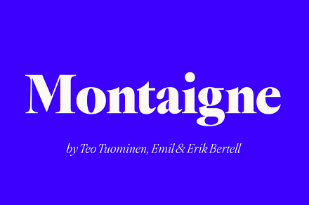 Montaigne Classic Serif, a Serif Font by Fenotype