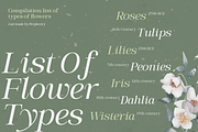 Elegant Serif for Luxury – Veluxa, a Serif Font by roomspace creative lab (Thumbnail 8 of 15)