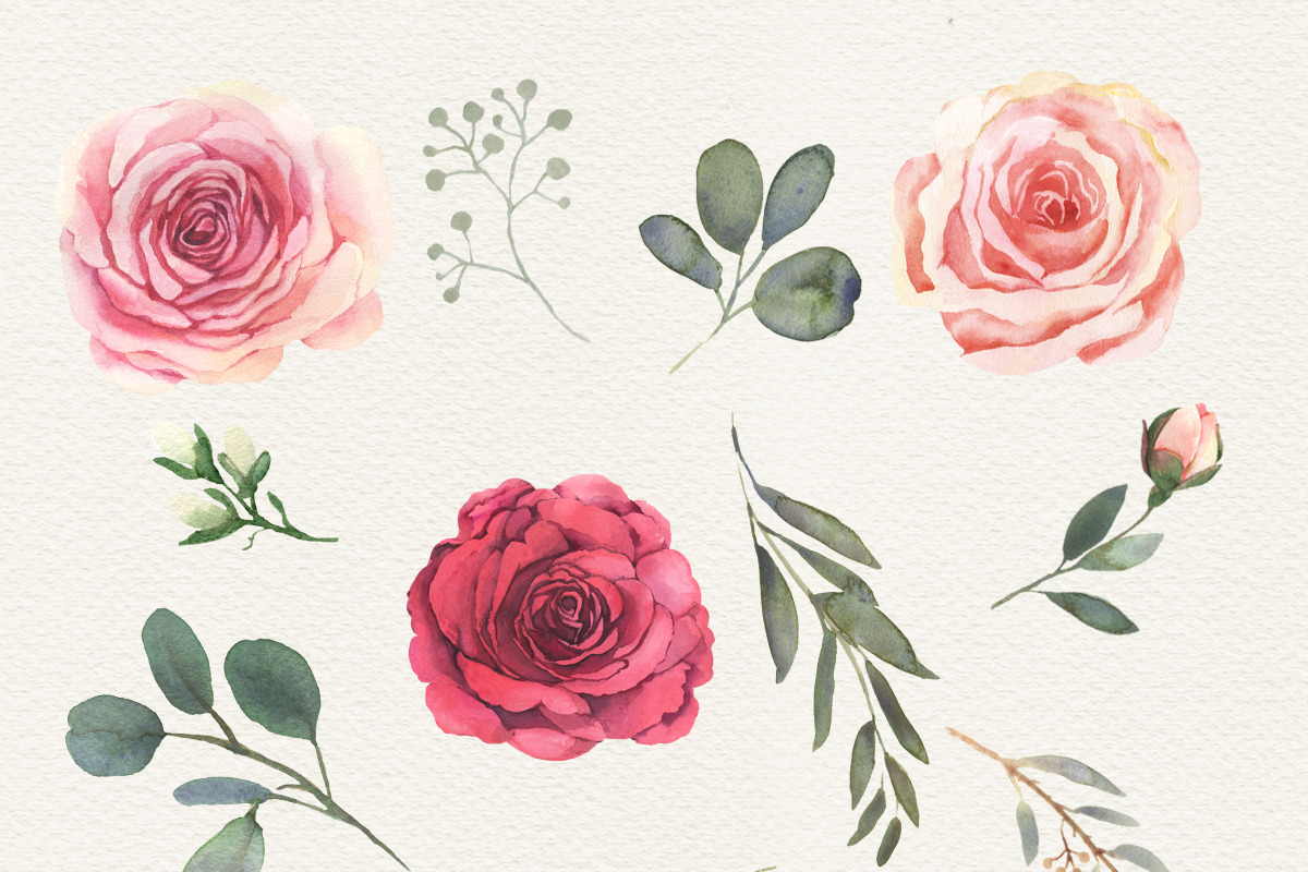 Elegance roses clipart, a Decorative Illustration by AnnelyBlooms (Photo 4 of 13)