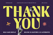 Break Noise Bold Sans Display, a Sans Serif Font by timelesstype.co (Thumbnail 5 of 20)