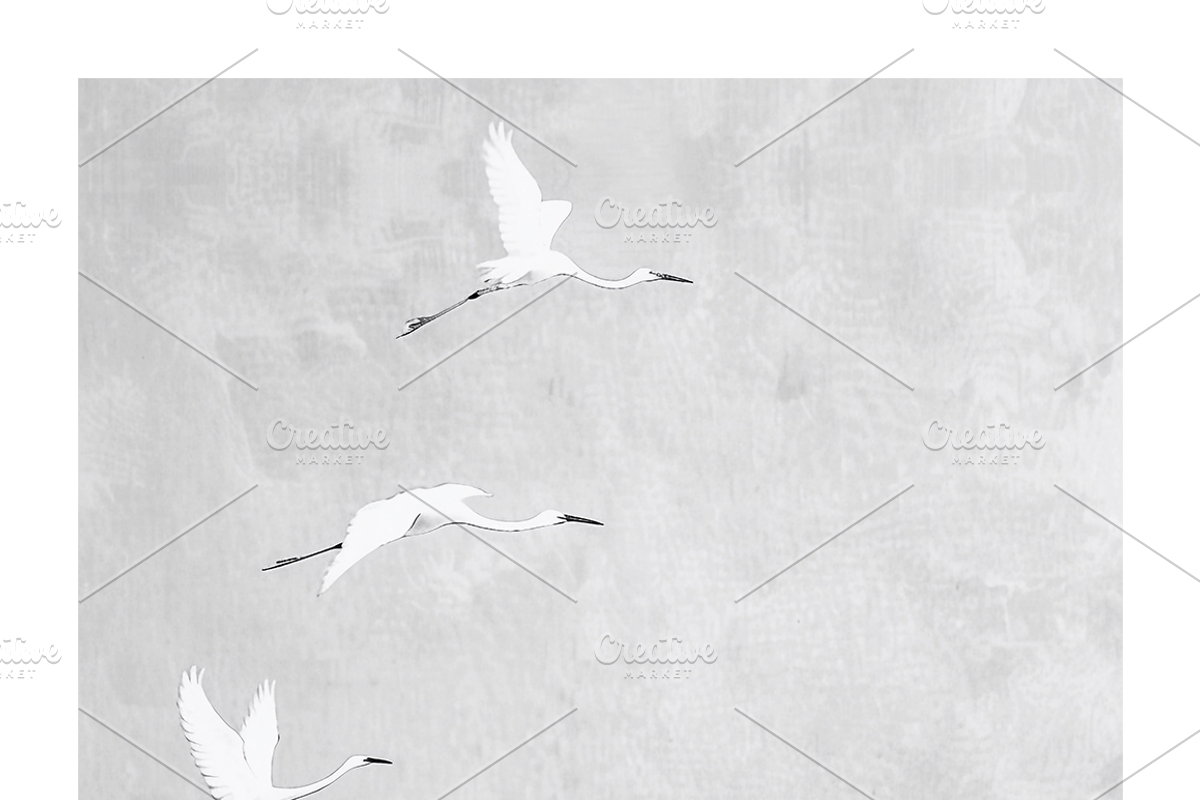Gret Collection · Egrets in Flight, an Animal Illustration by milatovar (Photo 16 of 17)