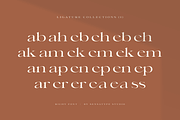 Richy - Unique Chic Font, a Serif Font by Sensatype (Thumbnail 5 of 21)