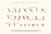 Arienne - Serif Typeface, a Serif Font by Genilson Santos (Thumbnail 13 of 14)