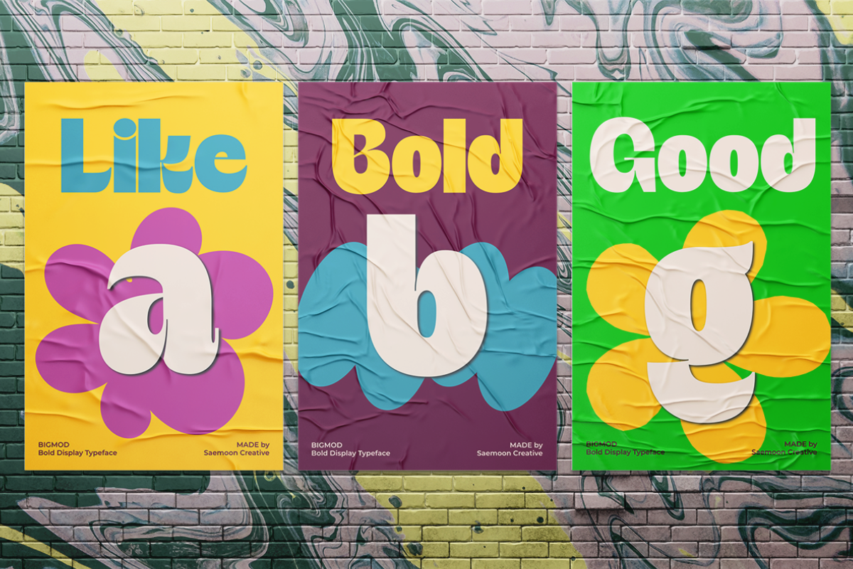 Bigmod, a Sans Serif Font by saemoon creative (Photo 13 of 15)
