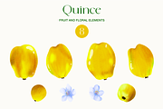 Quince fruit and leaves clipart, a Food Illustration by Harmony Draws (Thumbnail 5 of 7)