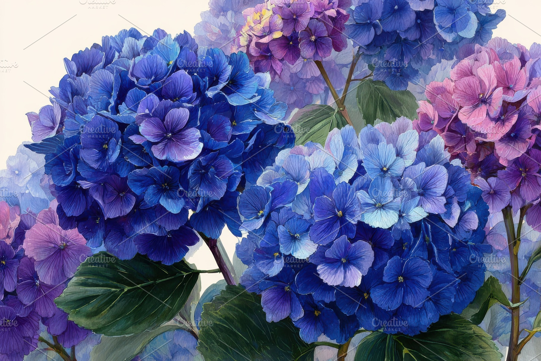 Vibrant Blue and Purple Hydrangeas B, a Photo by Pixeness Studio