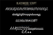 Blacklwood, a Sans Serif Font by Secondivison Supply (Thumbnail 9 of 10)