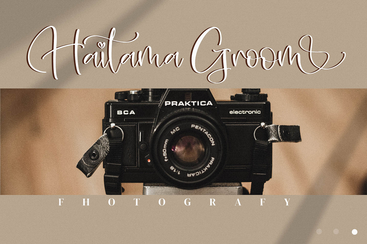 Aleani, a Script Font by Integritype Studio (Photo 7 of 15)
