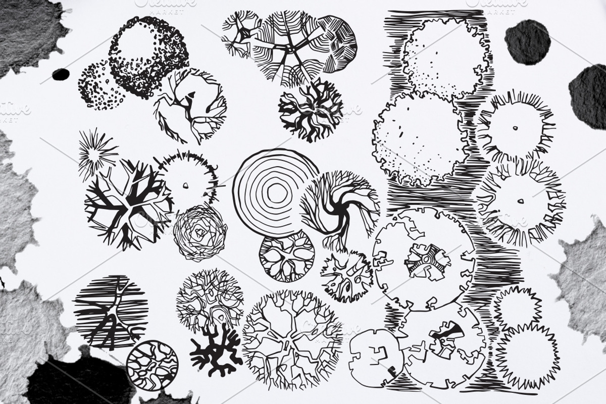 Architectural Tree Pack, an Object Graphic by Tanya_Kalina