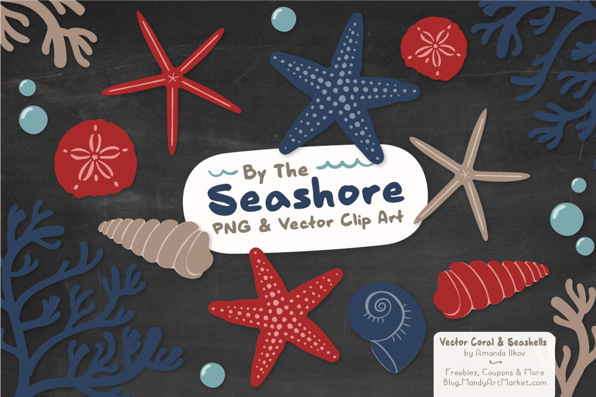 Seashells Clipart in Americana, an Illustration by Amanda Ilkov (Photo 3 of 5)