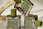 Aroma Floras Luxury High Contrast, a Serif Font by timelesstype.co (Thumbnail 7 of 10)