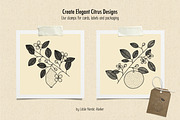 Citrus Botanicals Procreate Stamps, a Brush Add-On by Little Nordic Atelier (Thumbnail 3 of 6)