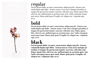 Farewell Angelina Display serif font, a Serif Font by Ana's Fonts (Thumbnail 5 of 9)