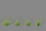 Shrub 2, an Environmental 3D Model by AndrewWhite (Thumbnail 11 of 14)