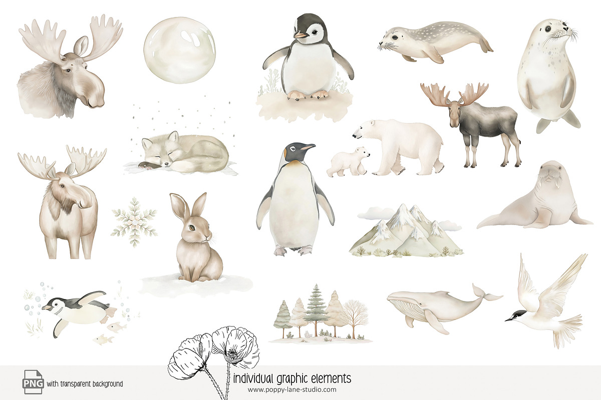 100 polar animal clip art, an Animal Illustration by Poppy Lane Studio (Photo 5 of 12)