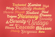 Vintage Genial | Variables Script, a Script Font by Typeskets (Thumbnail 13 of 13)