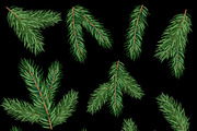 Fir tree branches vector set, a Decorative Illustration by MalinaShop (Thumbnail 4 of 5)