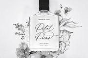 August Bloom | Elegant Script Font, a Script Font by Pink Coffie (Thumbnail 5 of 31)