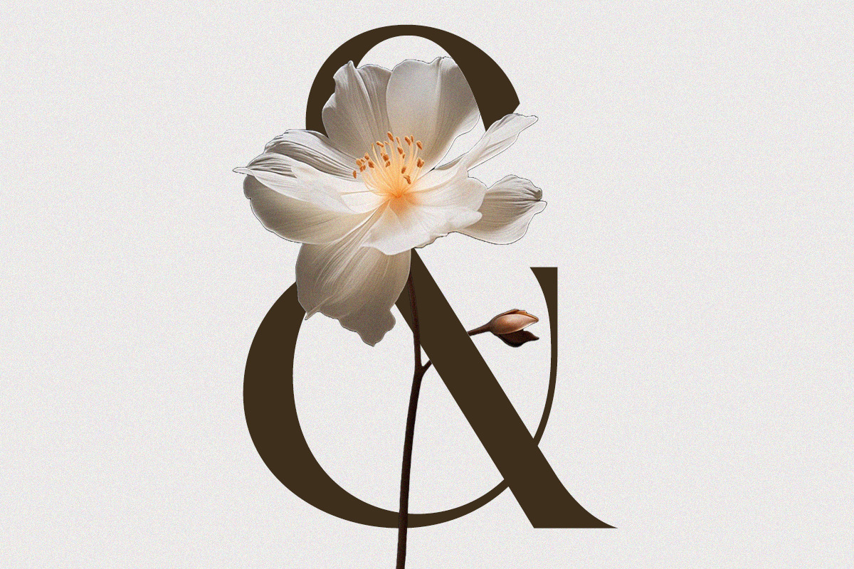 Ajessira – Modern Elegant Ligature, a Serif Font by Qweera Studio (Photo 9 of 12)