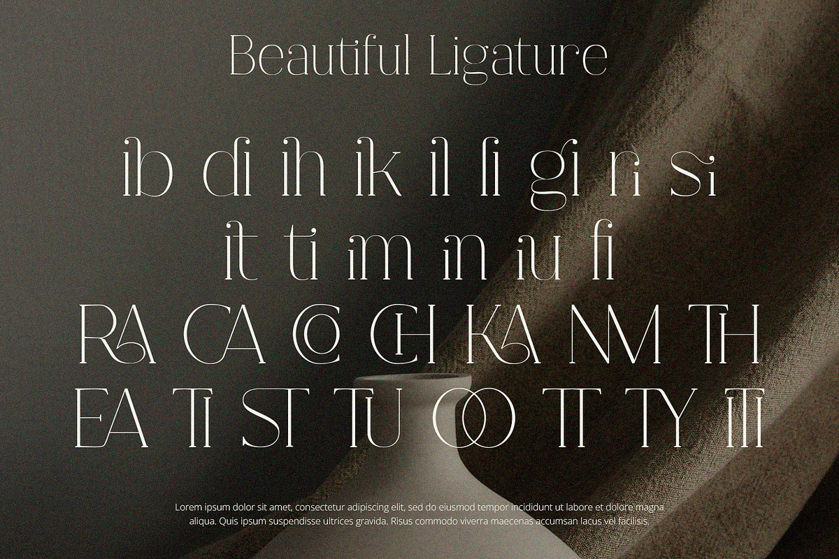 Fracture - Serif Font, a Serif Font by Alpaprana (Photo 3 of 10)