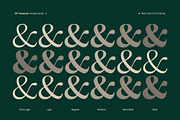 OV Treasure Retro Serif Font Family, a Serif Font by OV Type (Thumbnail 12 of 21)