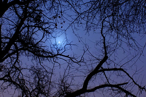 Halloween background featuring picture, photo, and image
