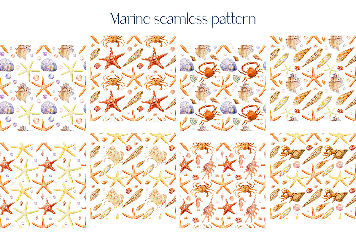 Watercolor starfish, shells, crabs, an Animal Illustration by Hanna Hryharenka (Photo 8 of 12)