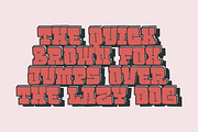 Brutald, a Slab Serif Font by 24Design Studios (Thumbnail 4 of 8)