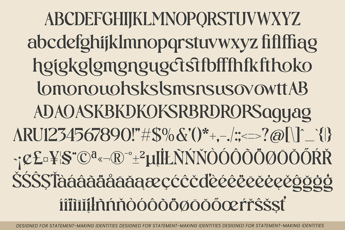 Vielotta Elegant Editorial Serif, a Serif Font by AmorfaType (Photo 8 of 8)