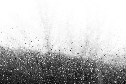 Raindrops in the window featuring window, rain, and raindrops