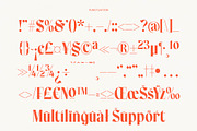 Sadisco - Bold Serif Display, a Serif Font by timelesstype.co (Thumbnail 19 of 20)