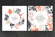 10 Most Poisonous Plants. Vector set, a Healthcare Illustration by Yevheniia (Thumbnail 4 of 8)