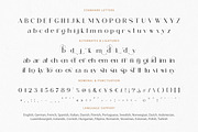 Modern Ligature Font, a Serif Font by elvinova (Thumbnail 14 of 14)