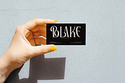 Elaphoras Display Serif Font, a Sans Serif Font by Storytype Studio (Thumbnail 10 of 18)