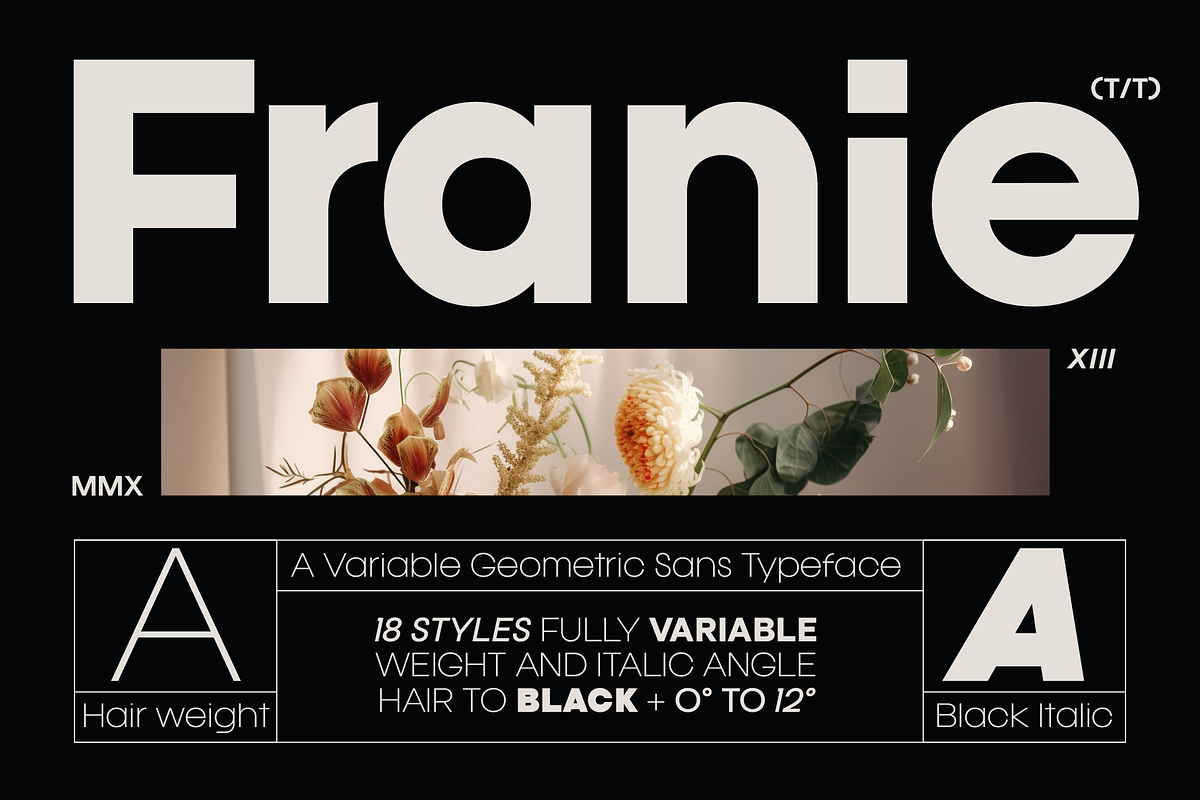 Franie Geometric Sans Family, a Font by That That Creative (Photo 1 of 16)