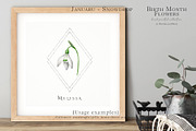 Snowdrop Birth Month Flower Clipart, an Illustration by Ksenia Shmakova (Thumbnail 2 of 9)