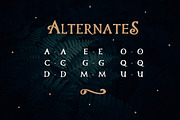 Hand-Drawn Serif Font Family, a Serif Font by Anna Zakharchenko (Thumbnail 6 of 14)