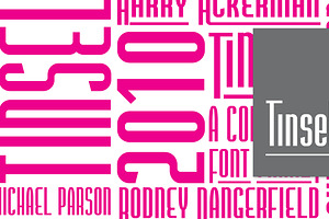 Tinsel, a Sans Serif Font by Typogama