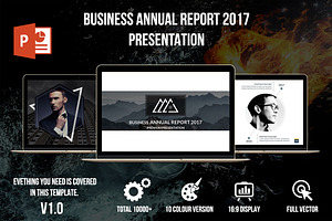 Business Annual Report 2017 