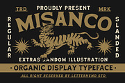 Misanco Organic Display Font, a Serif Font by Letterhend Studio (Thumbnail 1 of 9)