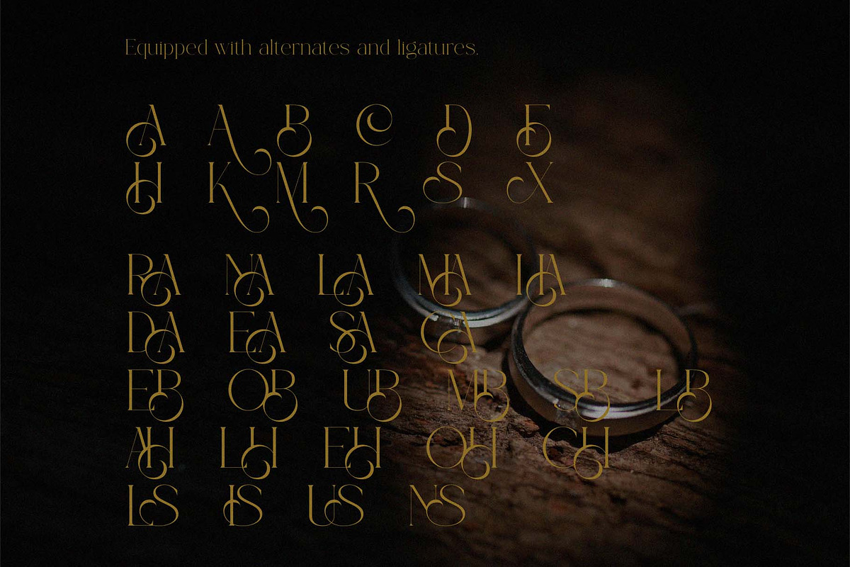 Berysa Medern End Eleganc Serif, a Serif Font by GridlineType (Photo 8 of 8)
