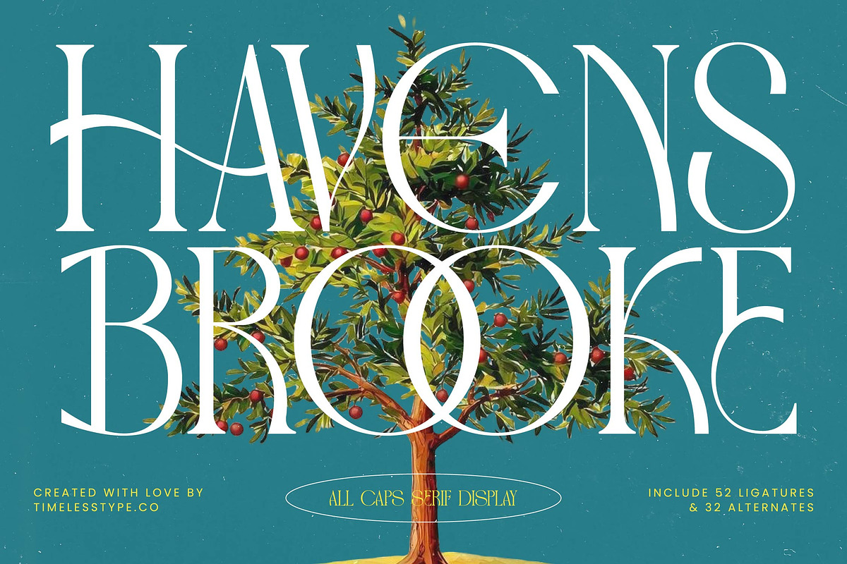 Havens Brooke Editorial Serif, a Serif Font by timelesstype.co (Photo 1 of 20)