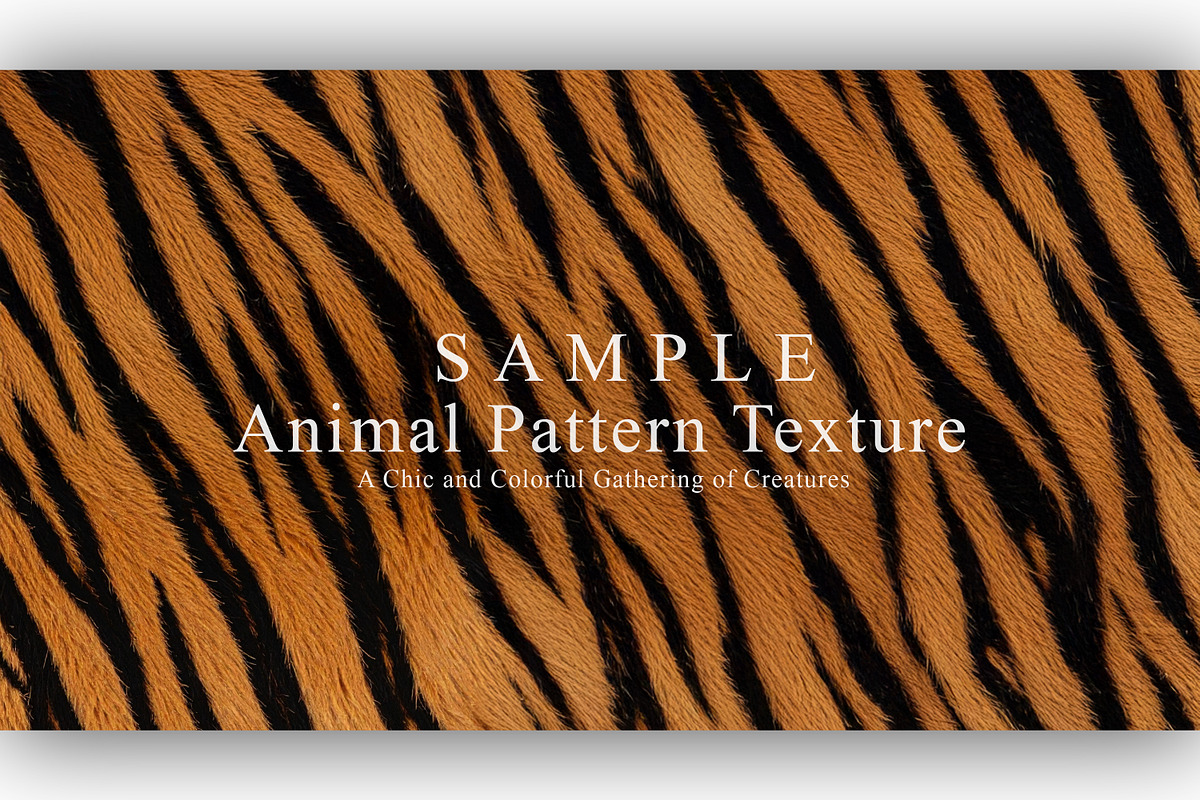 24 Animal Pattern Texture, a Background Graphic by NOMO DESIGN (Photo 20 of 24)
