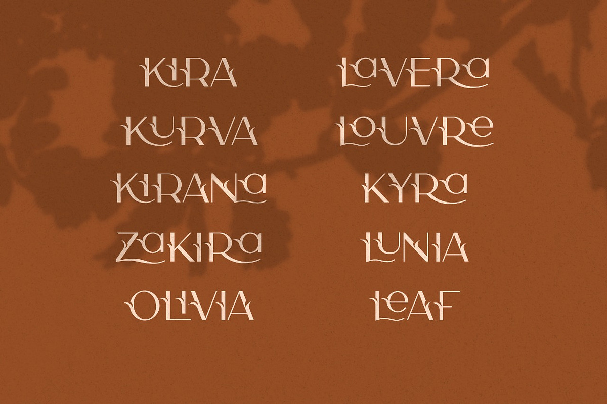 Camelia Sans - Unique Typeface, a Sans Serif Font by CCS Type (Photo 16 of 16)