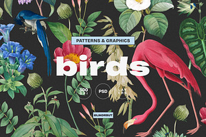 Birds Botanical Pattern And Graphics