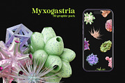 Organic Abstract 3D Shapes Pack, a Graphic by LarysaZabrotskaya (Thumbnail 6 of 9)